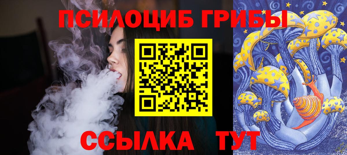 Галлюциногенные грибы Psilocybe  Псилоцибиновые грибы прущие грибы  Луховицы  Вход с VPN 